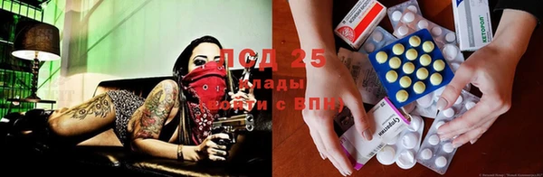мдпв Лихославль