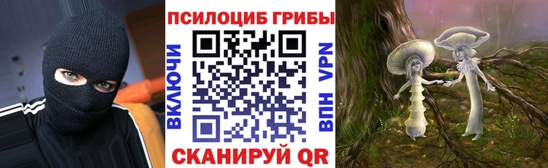 Галлюциногенные грибы мицелий  где найти   Эртиль 